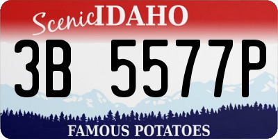 ID license plate 3B5577P