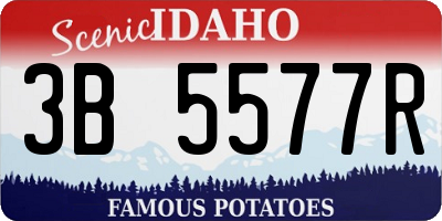 ID license plate 3B5577R