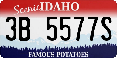 ID license plate 3B5577S
