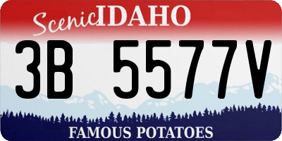 ID license plate 3B5577V