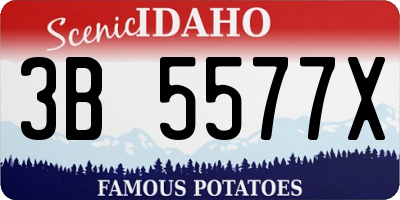 ID license plate 3B5577X