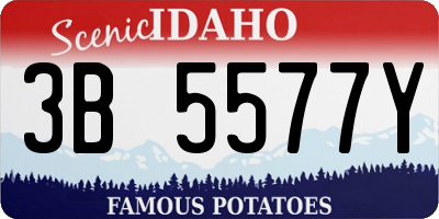 ID license plate 3B5577Y