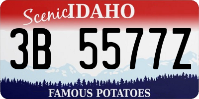 ID license plate 3B5577Z