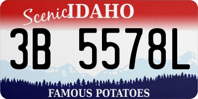 ID license plate 3B5578L