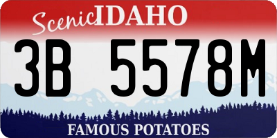 ID license plate 3B5578M