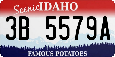 ID license plate 3B5579A
