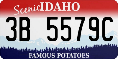 ID license plate 3B5579C