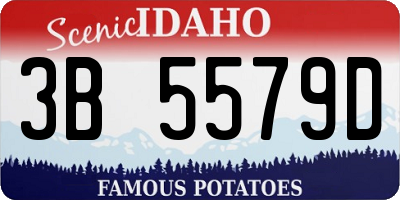 ID license plate 3B5579D