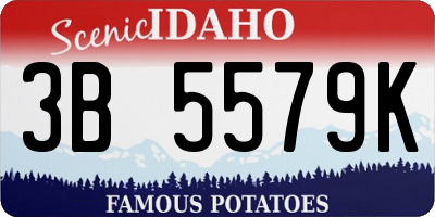 ID license plate 3B5579K