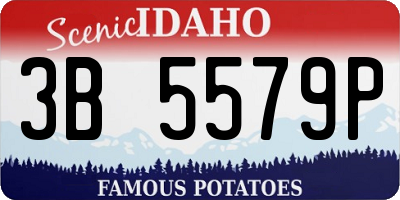 ID license plate 3B5579P