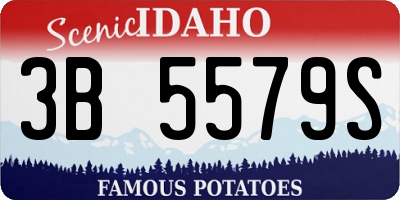 ID license plate 3B5579S