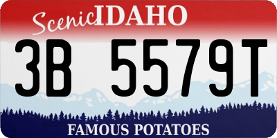 ID license plate 3B5579T