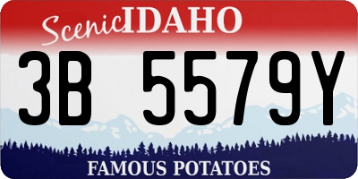 ID license plate 3B5579Y