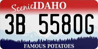 ID license plate 3B5580G