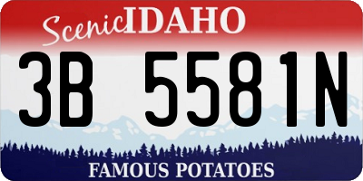 ID license plate 3B5581N