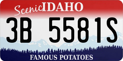 ID license plate 3B5581S