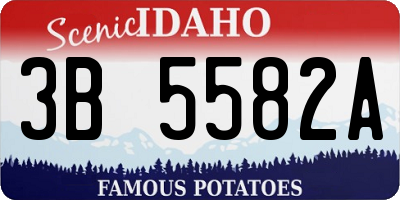 ID license plate 3B5582A