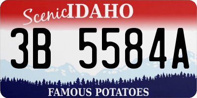ID license plate 3B5584A