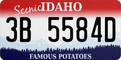 ID license plate 3B5584D