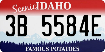 ID license plate 3B5584E