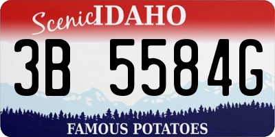 ID license plate 3B5584G