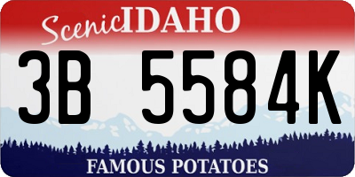 ID license plate 3B5584K