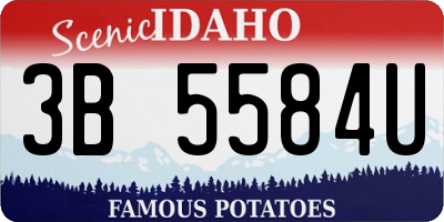 ID license plate 3B5584U