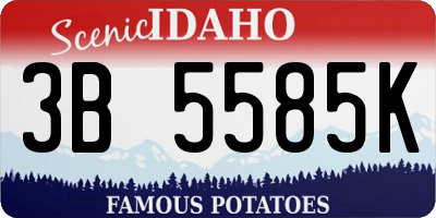 ID license plate 3B5585K