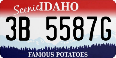 ID license plate 3B5587G