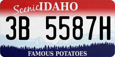 ID license plate 3B5587H
