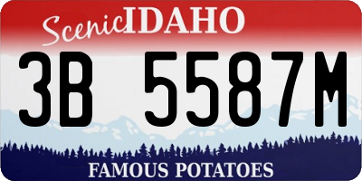 ID license plate 3B5587M