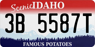 ID license plate 3B5587T