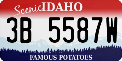 ID license plate 3B5587W