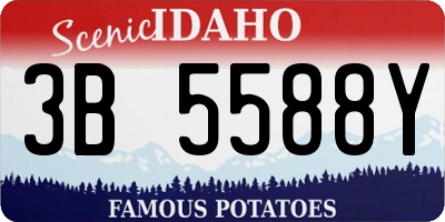 ID license plate 3B5588Y