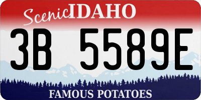 ID license plate 3B5589E