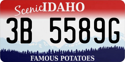 ID license plate 3B5589G