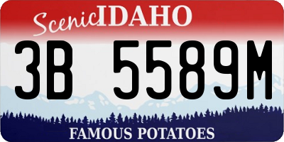 ID license plate 3B5589M