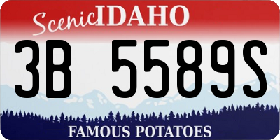 ID license plate 3B5589S