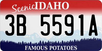 ID license plate 3B5591A