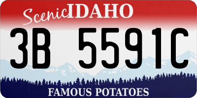 ID license plate 3B5591C