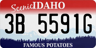 ID license plate 3B5591G