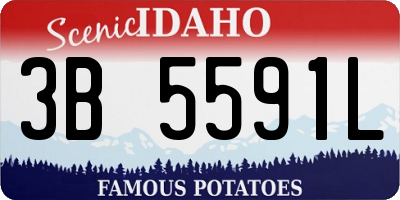 ID license plate 3B5591L
