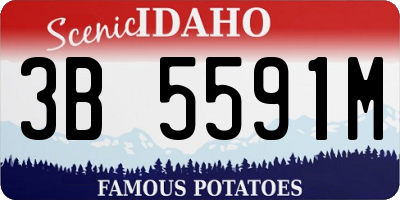 ID license plate 3B5591M
