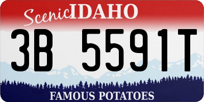 ID license plate 3B5591T