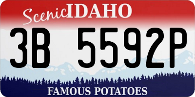 ID license plate 3B5592P
