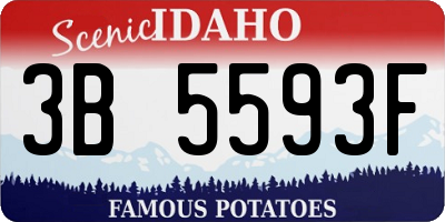 ID license plate 3B5593F