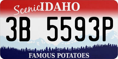 ID license plate 3B5593P