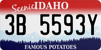 ID license plate 3B5593Y
