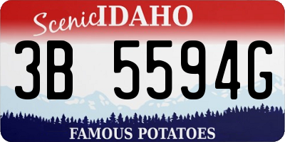 ID license plate 3B5594G