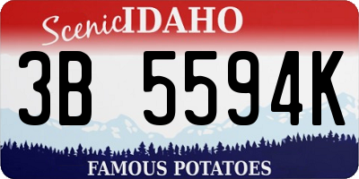 ID license plate 3B5594K